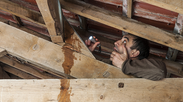 Stopping a roof leak in the rain and finding the source in the attic