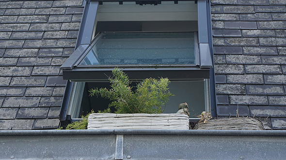 do not paint damaged roof shingles granule loss