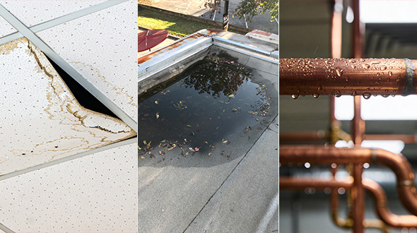 early warning signs of a commercial roof leak