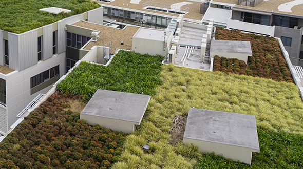 Installed green roofing on modern buildings