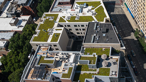 green vegetative cool roof