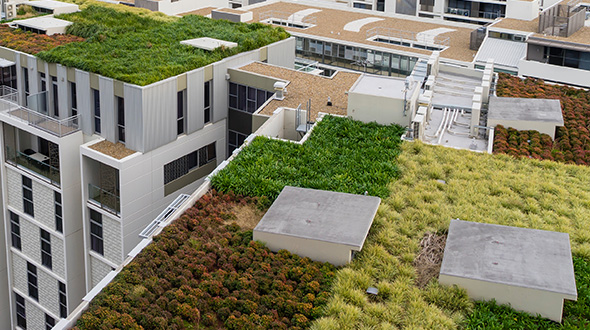 sustainable green roofs and living roof