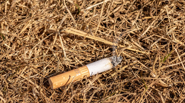 Wildfire causes discarded lit cigarette